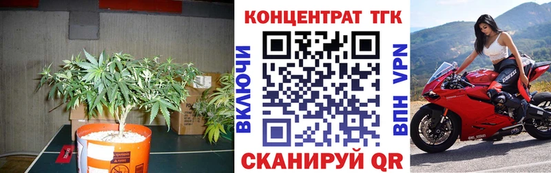 Дистиллят ТГК Wax  Балашов 